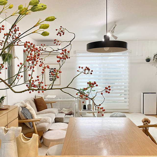 シンプル/いぬと暮らす/ig→muno_home/北欧/シンプルライフ...などのインテリア実例 - 2021-09-12 14:09:46